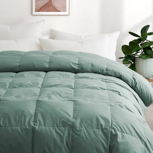 All Season Organic Cotton Comforter Filled with Down and Feather Fiber - Laurel Green, King