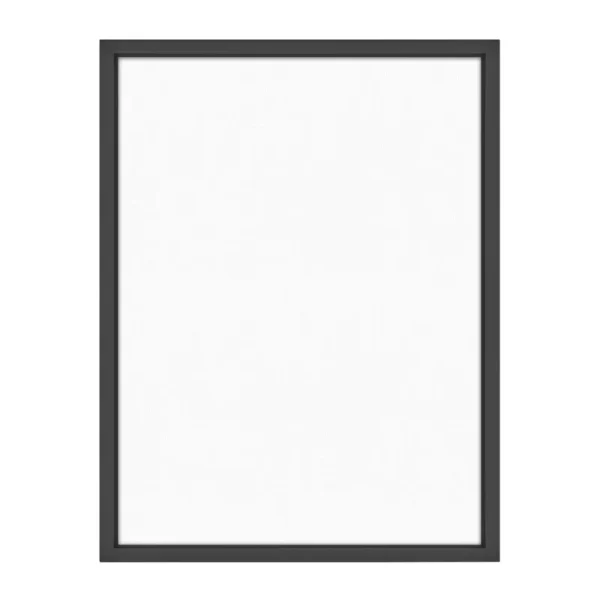 MCS Floating Frame with Canvas Included, Art Frames for Canvas Paintings with Adhesive Fasteners and Hanging Hardware, Black, 18 x 24 inch