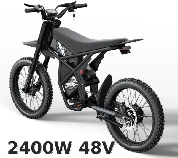 Ridingtimes GT73 Electric Motorbike 2400W 48V 18.2ah*2 Electric BIKE with 25" Tires Digital Screen Carbon Steel, BLACK