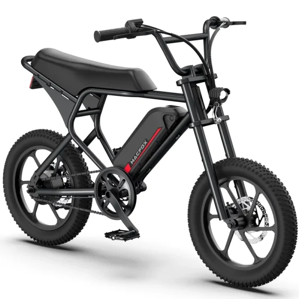 Macfox M19 Teen Electric Bike