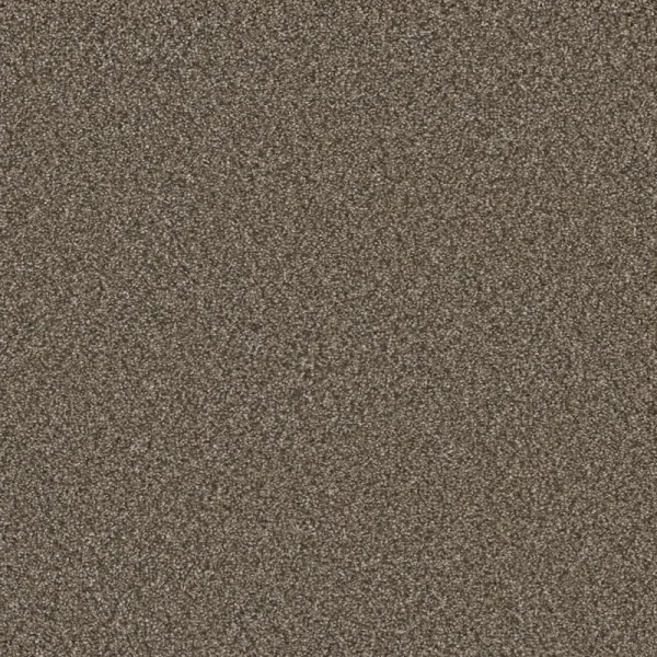 Durango Delight III Basin Creek Brown 54-oz sq yard Solution-dyed polyester Textured Indoor Carpet