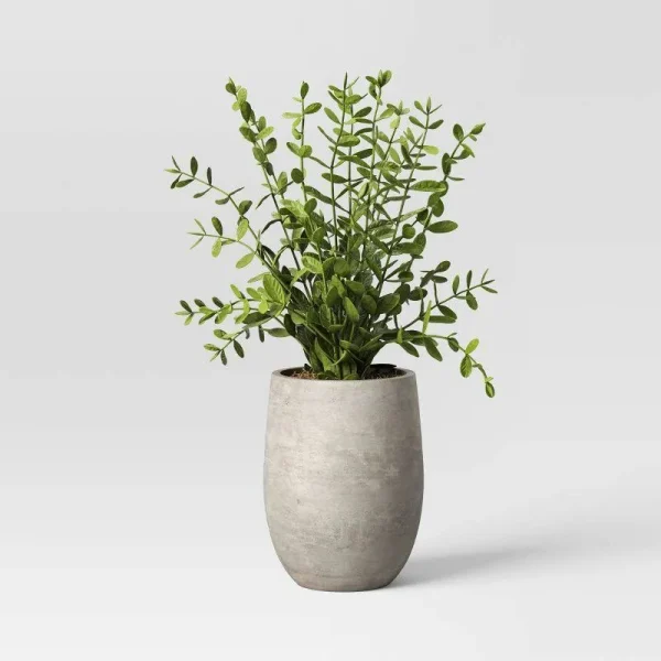 14" Privet Artificial Plant - Threshold Designed with Studio McGee
