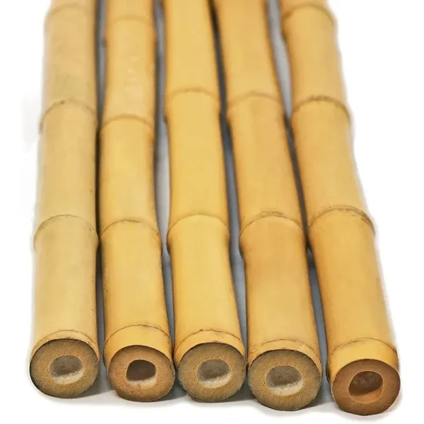 Backyard Xscapes Inc 25-Piece 6' H x 1-Inch D Bamboo Pole Bundle, Size: Natural, Beige