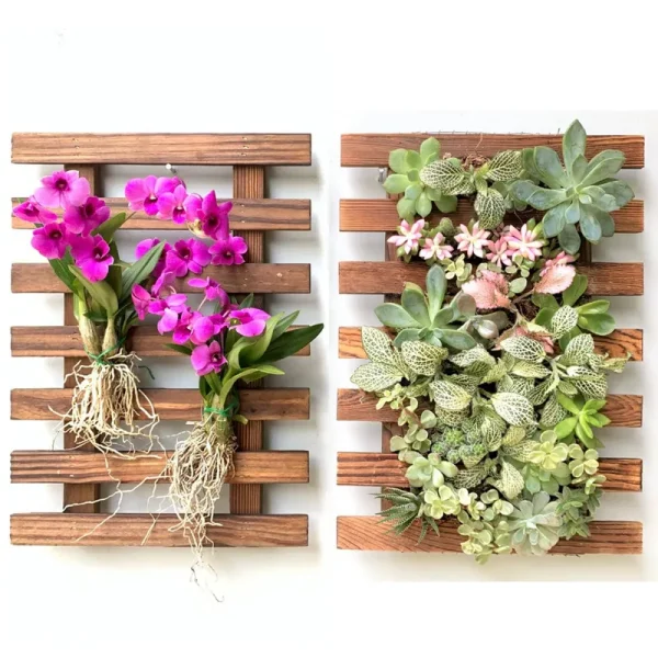 ShopLaLa Wall Planter - 2 Pack Wooden Orchid Planter Frame Display Outdoor Plants, Wall Mount Air Plants Succulent Holder Hanger, Metal