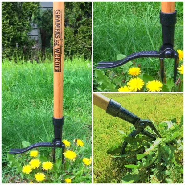 Grampa&s Weeder, Size: 44 inch x 7.5 inch x 1 inch