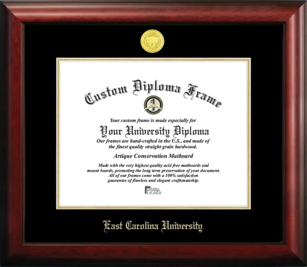 Campus Images NC995GED East Carolina University Gold Embossed Diploma Frame