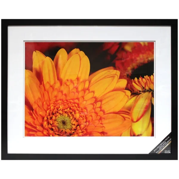 Studio Decor 18" Black Gallery Wall Frame with Double Mat - Each