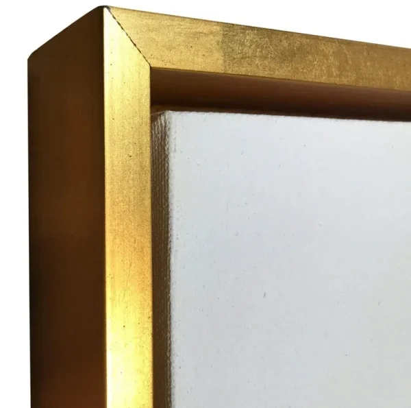 Gold Floater Frame for 1.5" Deep Canvas, (Multiple Sizes) (16x20")