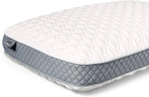 Sealy Memory Foam Bed Pillow
