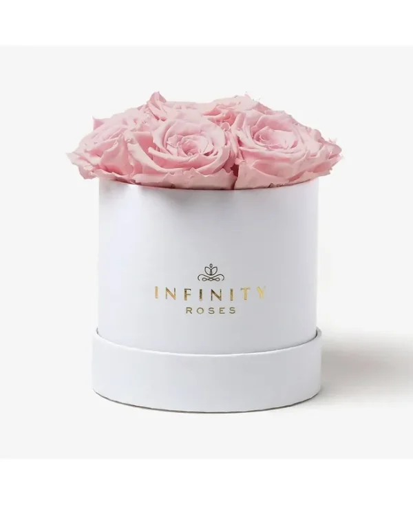 Round Box of 7 Pink Real Roses Preserved to Last Over A Year - Pink