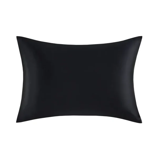 Madison Park Silk 100% Mulberry Single Pillowcase - Queen - Black