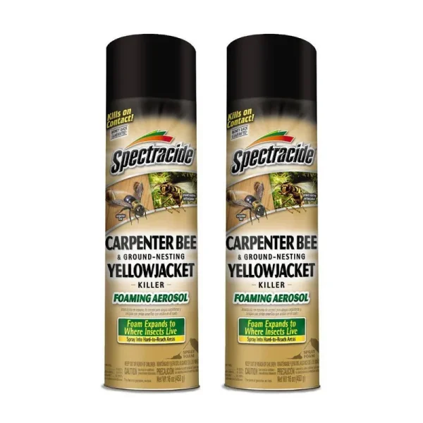 16 oz. Aerosol Carpenter Bee and Ground-Nesting Yellow Jacket Killer Foam (2-Pack)