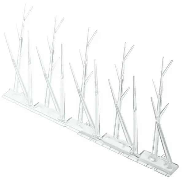 Bird x Plastic Bird Spikes