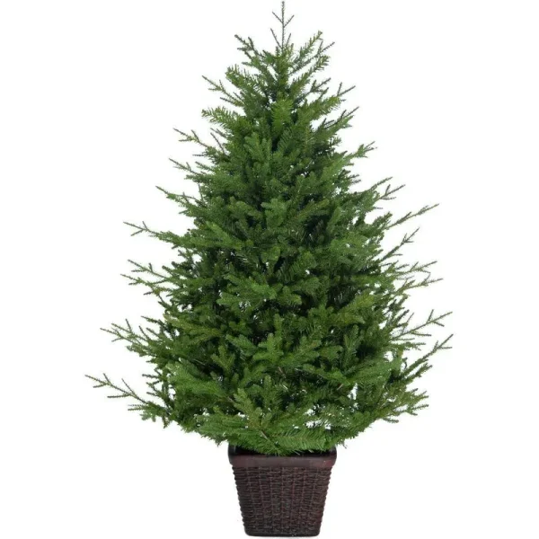 Fraser Hill Farm 5 ft. Adirondack Potted Christmas Tree