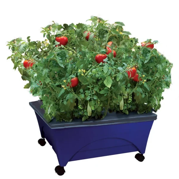 Emsco Group City Picker Self Watering Raised Bed Grow Box - Cobalt Blue