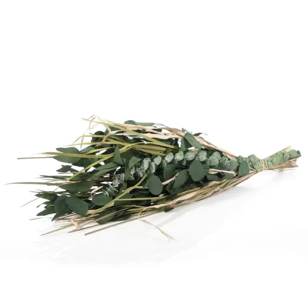 Botanical Avenue Eucalyptus Mix Green Bouquet