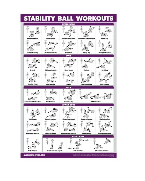 QuickFit Exercise Ball Workout Poster - Stability Ball Routine - Balance Ball - Laminated - 18" x 27"