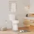 2469 2488 split toilet Top push double flush Elongated (long) 21" seat height