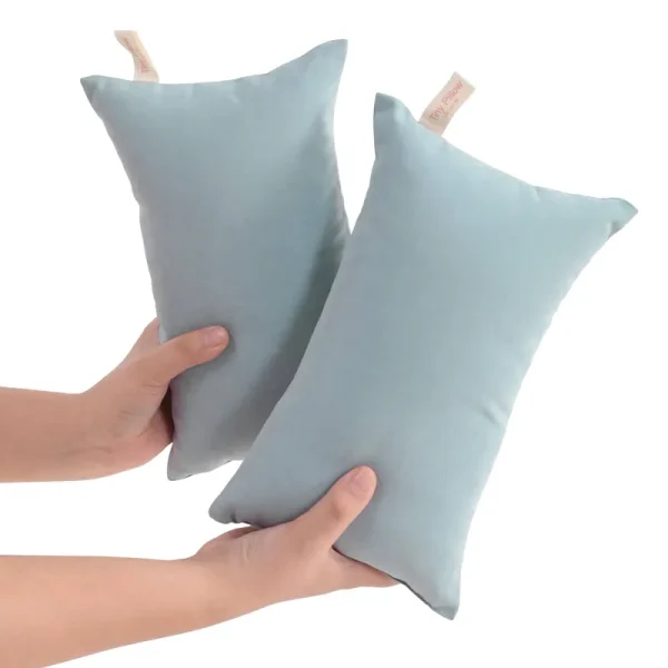 NTBAY 2 Pack Tiny Pillows, 11"x7" Microfiber Mini Pillows for Baby, Travel, Pets, Soft Machine Washable Small Pillows with Excellent Resilience for