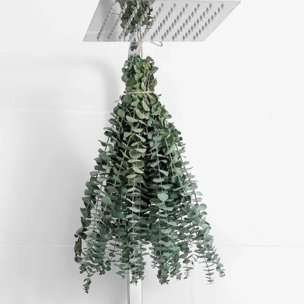 FAVOWREATH 10 Pcs Dried Eucalyptus Stems 17" Real Eucalyptus for Shower Hanging 100% Made from Fresh Eucalyptus Leaves, Wedding Decor Home Decor