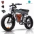 ZM21 48V Gray