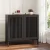 Black-Vertical Stripes