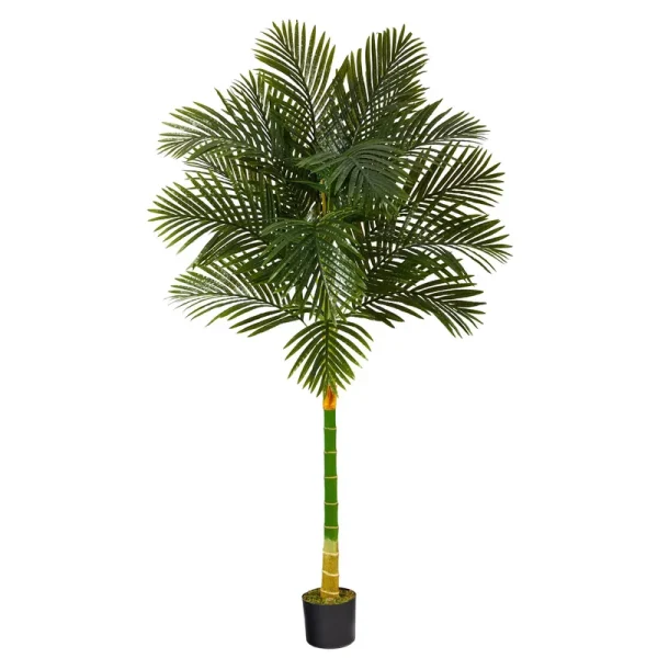 Nearly Natural 6' Golden Cane Artificial Palm Tree - 6 inch, Black