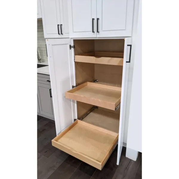 Daiona Slide Shelve Pull Out Sliding Drawer Cabinet Organizer - DIY Loon Peak Size: 3" H x 27" W x 21" D