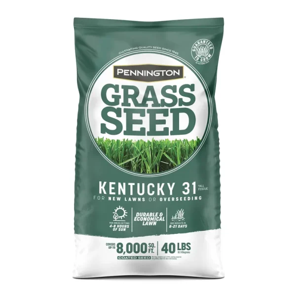 Pennington Kentucky 31 40-lb Tall Fescue Grass Seed