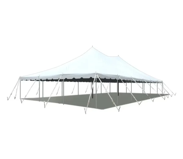 Tentandtable Sectional Outdoor Wedding Event Party Canopy Tent, White Waterproof, 30 Ft x 60 Ft