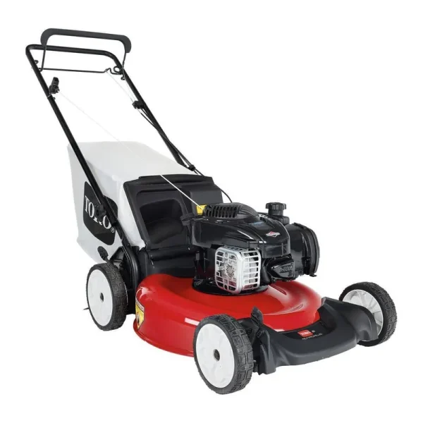 Toro Recycler 21 in. Briggs and Stratton Low Wheel RWD Gas Self Propelled Lawn Mower
