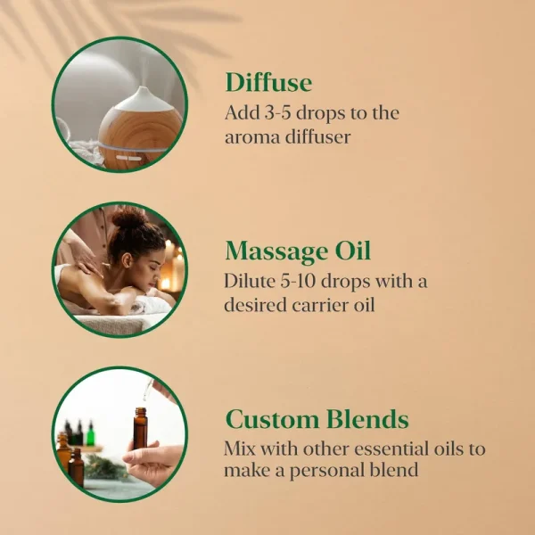 Essential Oils Set - Frankincense, Peppermint, Lavender, Eucalyptus, Tea Tree, Lemongrass 10ml x 6 by Majestic Pure