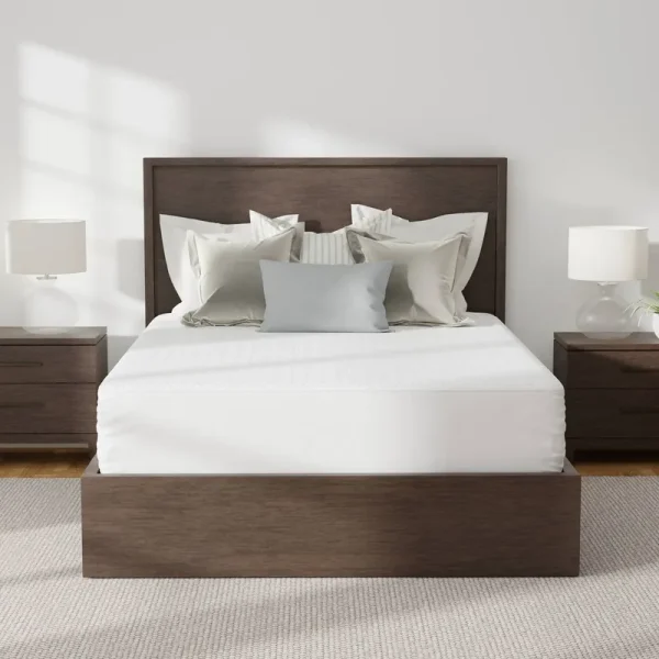 Allerease Platinum Mattress Protector | Queen