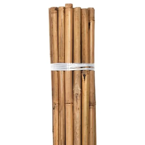 Grower's Edge Natural Bamboo - 6 ft Bulk (50/Pack)