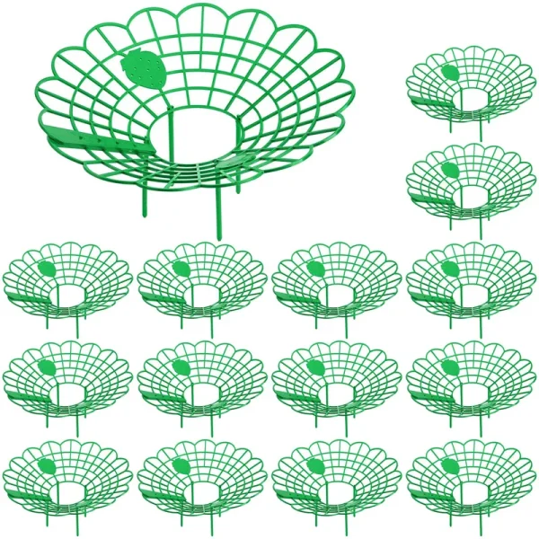 Iceyyyy Strawberry Supports - Strawberry Plant Support Stand Strawberry Growing Racks Protector Strawberry Growing Frame Holder Cage (15, B)