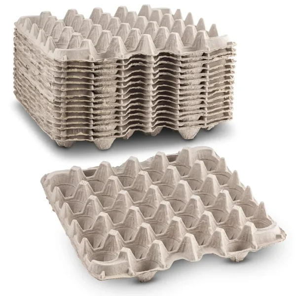 MT Products Biodegradable Pulp Fiber Egg Flats - 15 Pieces EGGFLAT15
