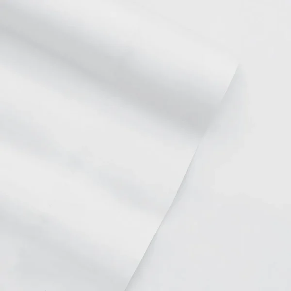 Home Collection Premium Ultra Soft 2 Piece Pillow Case Set King White