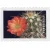 100 Stamps 5 Books