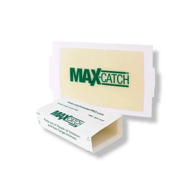 36 Catchmaster Mouse Mice Insect Lizard Spider Snake Glue Board