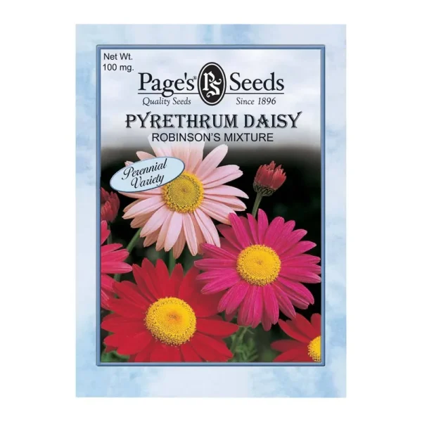 Pyrethrum Daisy Robinsons Mixture Seed - 1 Packet