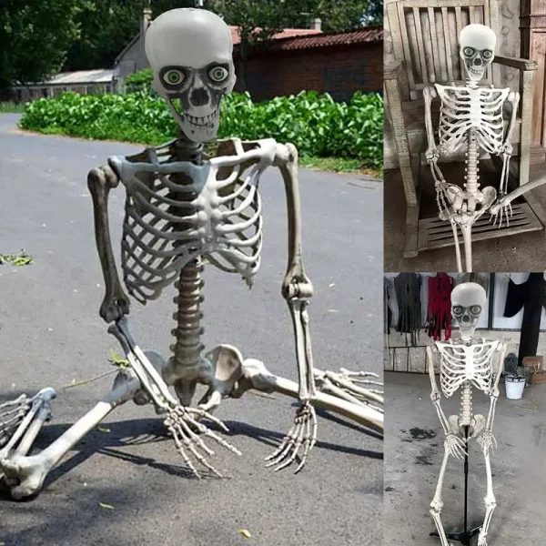 Halloween Skeleton Life Size Full Body Posable Joints Skeletons Life Size Skull Hand Life Body Anatomy Model Decor Halloween Skeleton Decorations