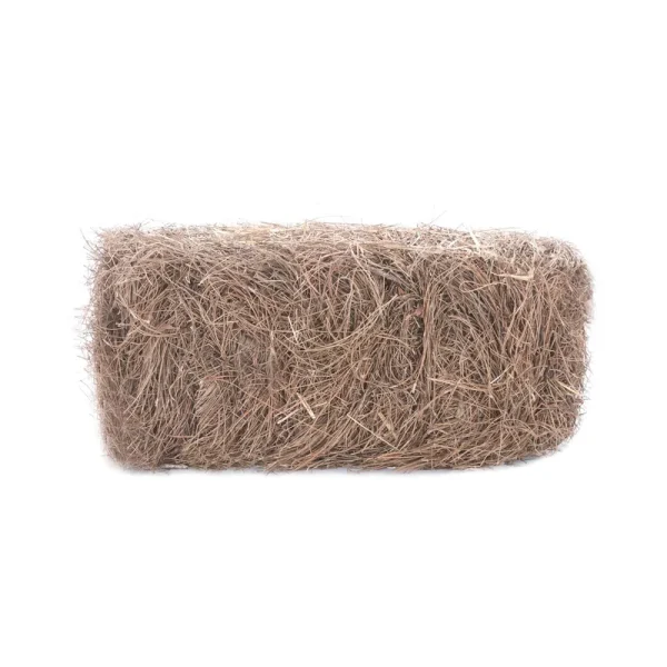 Lowe's Short Leaf Pine Needles Up to 40-sq ft. Coverage - Each
