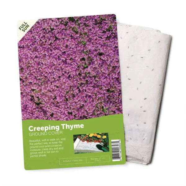 BloomingBulb Creeping Thyme Seeds (Flower Mat) | 51122