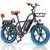 20''1500W-48V-15.6AH-30MPH