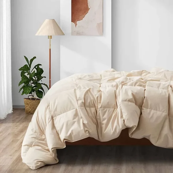 All Season Organic Cotton Comforter Filled with Down and Feather Fiber - Off White, Twin