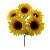 Yellow Sunflower