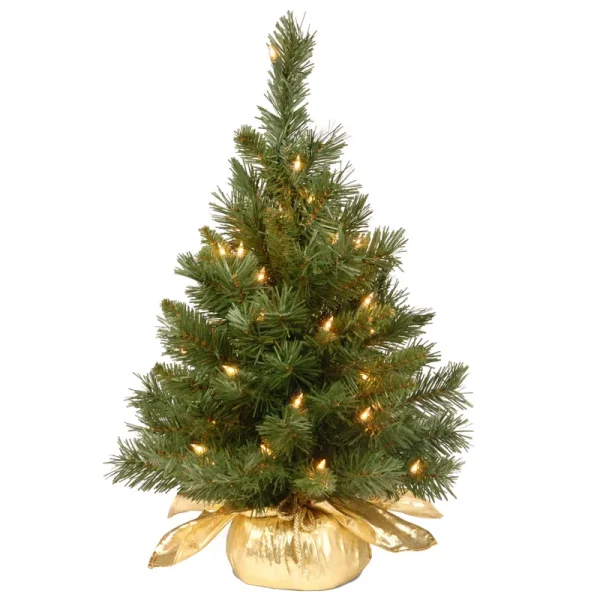 National Tree Company 24" Majestic Fir Tree Gold Cloth Bag with 35 Clear Lights