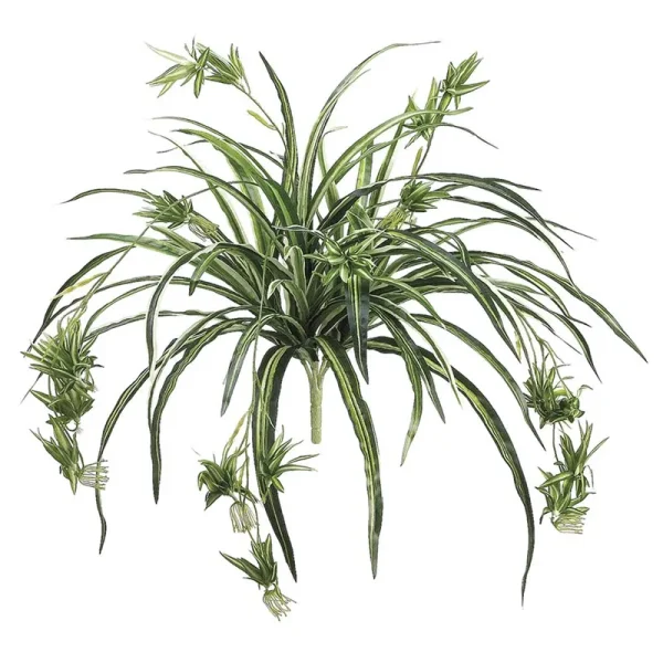 Allstate Floral Spider Plant X80, 34", Green/White - 12 pack