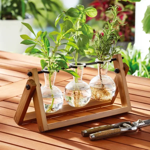 Better Homes & Gardens Painted Rectangle Glass and Wood Propagation Station Set, 11.3 in L x 4.3 in W x 5.5 in H, Size: 11.3 in Large x 4.3 in W x 5.5