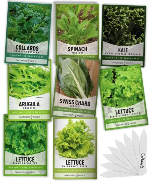 8 Leafy Garden Greens Seeds for Planting Individual Packets - Arugula, Collards, Spinach, Swiss Chard, Kale, Lettuce, Leafy and Butter Lettuce Seeds F